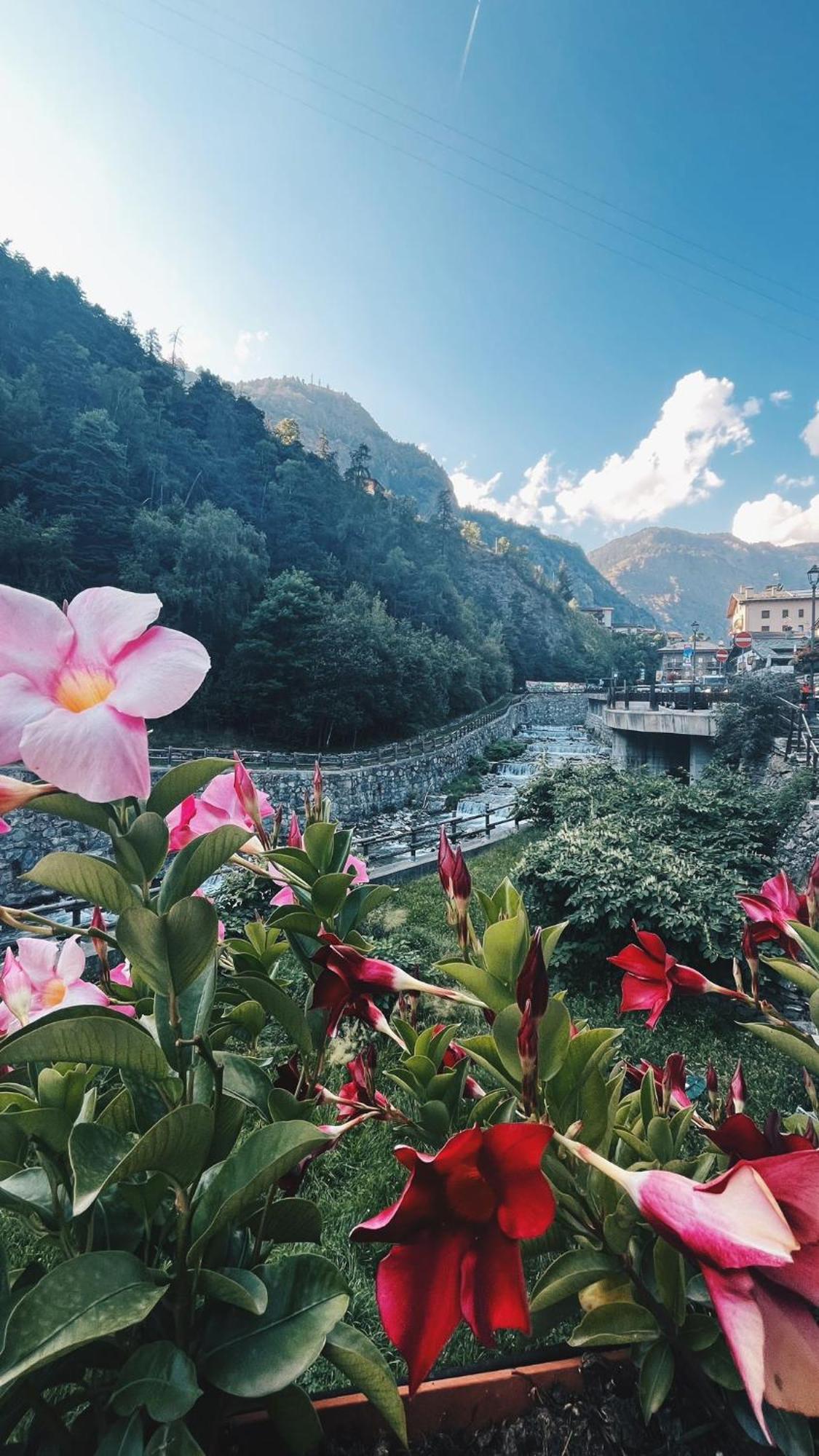 Locanda Monte Cervino Antey-Saint-André Exteriér fotografie